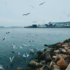 лучшие фото Юлия Гришанова лучшие фото Юлия Гришанова