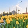 реклама на блоге Юра Ухорский реклама на блоге Юра Ухорский