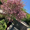 фотография Лера Громова фотография Лера Громова
