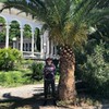 реклама на блоге Дмитрий Асеев реклама на блоге Дмитрий Асеев