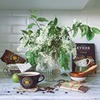 лучшие фото Катя Лукьянова лучшие фото Катя Лукьянова