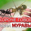 реклама у блоггера Денис Сокол реклама у блоггера Денис Сокол