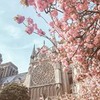 фото на странице Анастасия Ипатова фото на странице Анастасия Ипатова