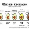 реклама на блоге Алиса Luchshe_chem_vchera реклама на блоге Алиса Luchshe_chem_vchera