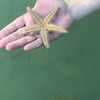 фотография Юлия Нарышкина фотография Юлия Нарышкина