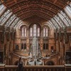 фотография Александра Панкратова фотография Александра Панкратова
