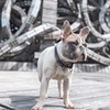 новое фото Юлиана Крафт новое фото Юлиана Крафт