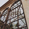 новое фото Джейн Кравитц новое фото Джейн Кравитц