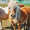 фото Дарья Дацюк фото Дарья Дацюк