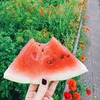 фотография Юлия Гришанова фотография Юлия Гришанова