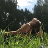 фотография Анна Бояр фотография Анна Бояр