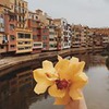 фото Джейн Кравитц фото Джейн Кравитц