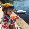 реклама у блоггера Мария Фомичева реклама у блоггера Мария Фомичева