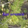 лучшие фото Анастасия Волкова (Пфефочка) лучшие фото Анастасия Волкова (Пфефочка)