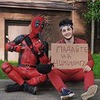 фото на странице Грач Вартанян фото на странице Грач Вартанян