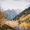 лучшие фото Ярослав Шураев лучшие фото Ярослав Шураев