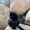 реклама на блоге Антон Бойцов реклама на блоге Антон Бойцов