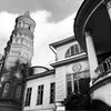 разместить рекламу в блоге Ксения Томс разместить рекламу в блоге Ксения Томс
