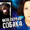 реклама у блоггера chihuasophieanny_magik реклама у блоггера chihuasophieanny_magik