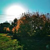 реклама на блоге Юлия Филатова реклама на блоге Юлия Филатова