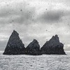 фото на странице Сергей Доля фото на странице Сергей Доля