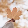 новое фото Ева Макарова новое фото Ева Макарова