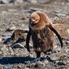 фотография Сергей Доля фотография Сергей Доля