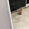 реклама в блоге Юлия Фиалковская реклама в блоге Юлия Фиалковская