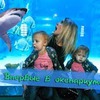 реклама у блоггера helen_yes1 реклама у блоггера helen_yes1