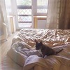 реклама у блоггера Ника Климова реклама у блоггера Ника Климова