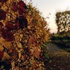 фотография Ольга Кодинцева фотография Ольга Кодинцева