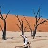 разместить рекламу в блоге Саша Гринюля разместить рекламу в блоге Саша Гринюля