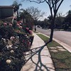 реклама у блоггера Саша Масюк реклама у блоггера Саша Масюк