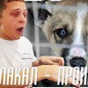 фото на странице belovme101 фото на странице belovme101