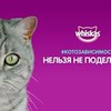 лучшие фото Яна Дитковская лучшие фото Яна Дитковская