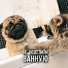 заказать рекламу у блоггера Глеб Корнилов заказать рекламу у блоггера Глеб Корнилов