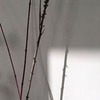 фото Екатерина Коломиец фото Екатерина Коломиец