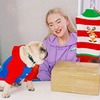 новое фото Маша Зум новое фото Маша Зум