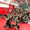 реклама в блоге Александр Липовой реклама в блоге Александр Липовой