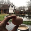 реклама на блоге Анна Акинина реклама на блоге Анна Акинина