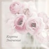 новое фото Галина Ткаченко новое фото Галина Ткаченко