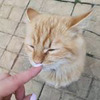 реклама на блоге Дина Кадис реклама на блоге Дина Кадис