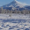 новое фото Настя Барашова новое фото Настя Барашова