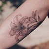 лучшие фото Саша Масюк лучшие фото Саша Масюк