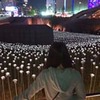 фотография Анастасия Шевченко фотография Анастасия Шевченко