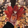 новое фото Светлана Алекс новое фото Светлана Алекс