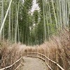 новое фото Лена Бузуева новое фото Лена Бузуева
