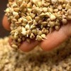 разместить рекламу в блоге oleg_chikin разместить рекламу в блоге oleg_chikin