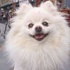 фотография Мария Вебер фотография Мария Вебер