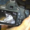 разместить рекламу в блоге Remonter разместить рекламу в блоге Remonter
